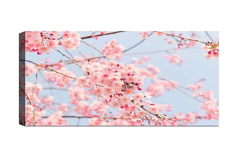 Canvasbilde YTY Floral & Botanical Flerfarget - 120x50 cm - Innredning - Bilder & kunst - Lerretsbilder