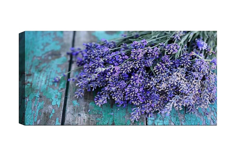 Canvasbilde YTY Floral & Botanical Flerfarget - 120x50 cm - Innredning - Bilder & kunst - Lerretsbilder
