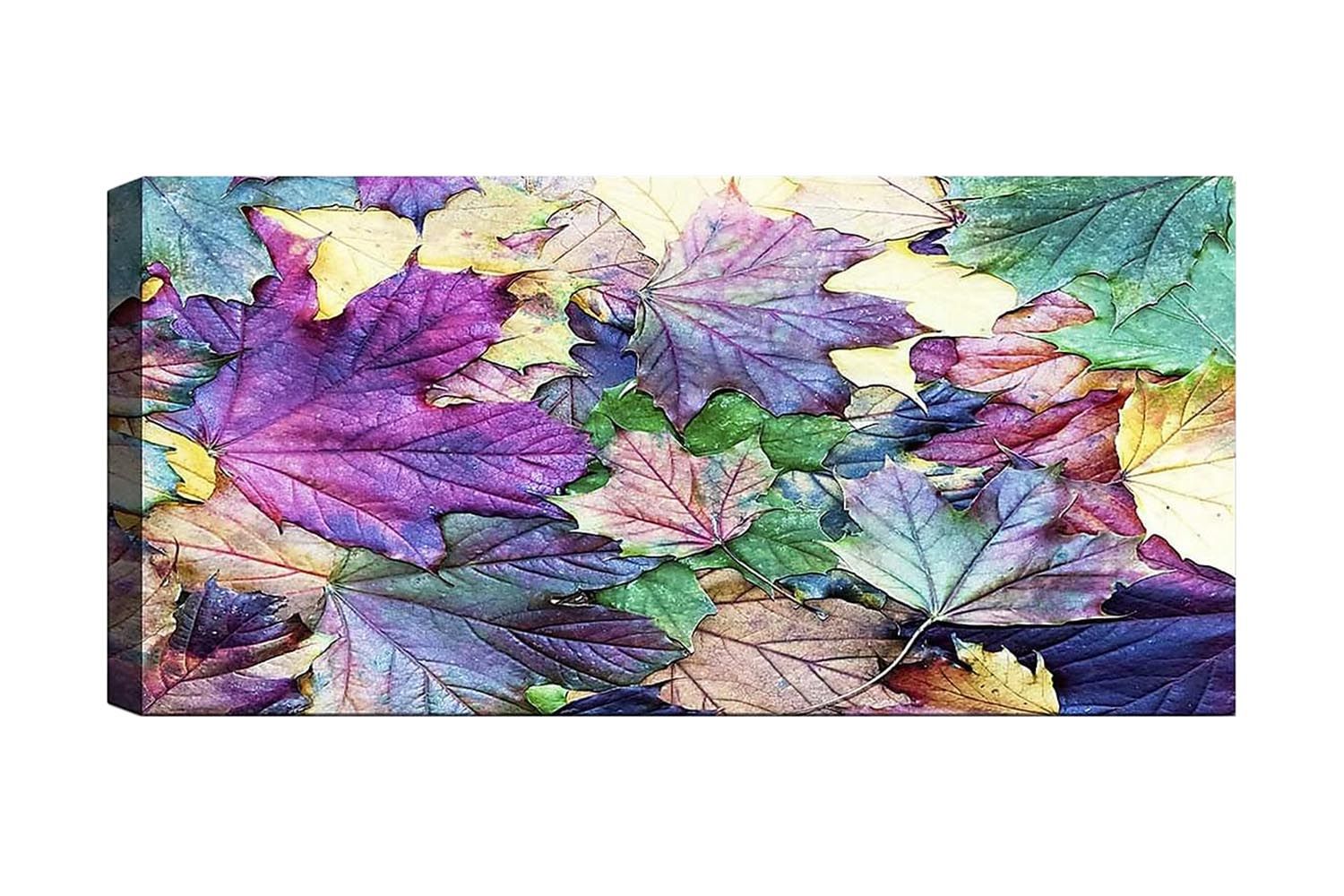 Canvasbilde YTY Floral & Botanical Flerfarget - 120x50 cm - Innredning - Bilder & kunst - Lerretsbilder
