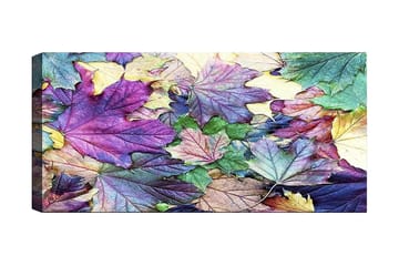 Canvasbilde YTY Floral & Botanical Flerfarget - 120x50 cm - Innredning - Bilder & kunst - Lerretsbilder