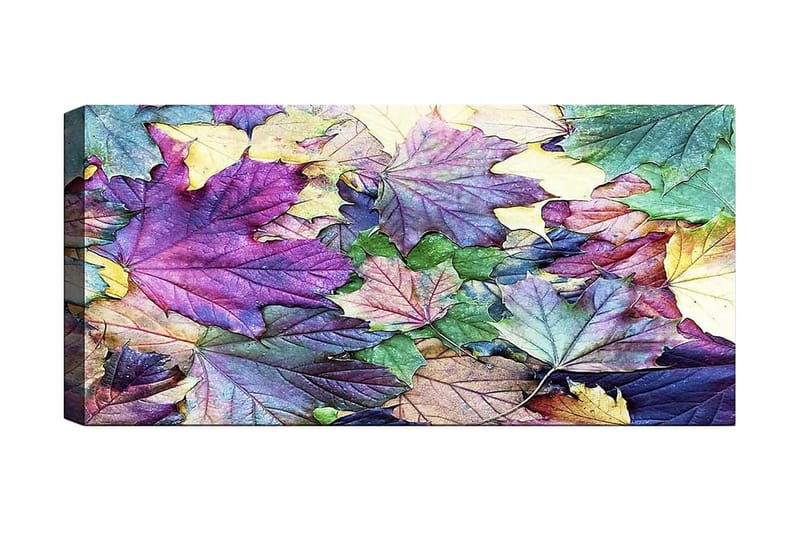 Canvasbilde YTY Floral & Botanical Flerfarget - 120x50 cm - Innredning - Bilder & kunst - Lerretsbilder