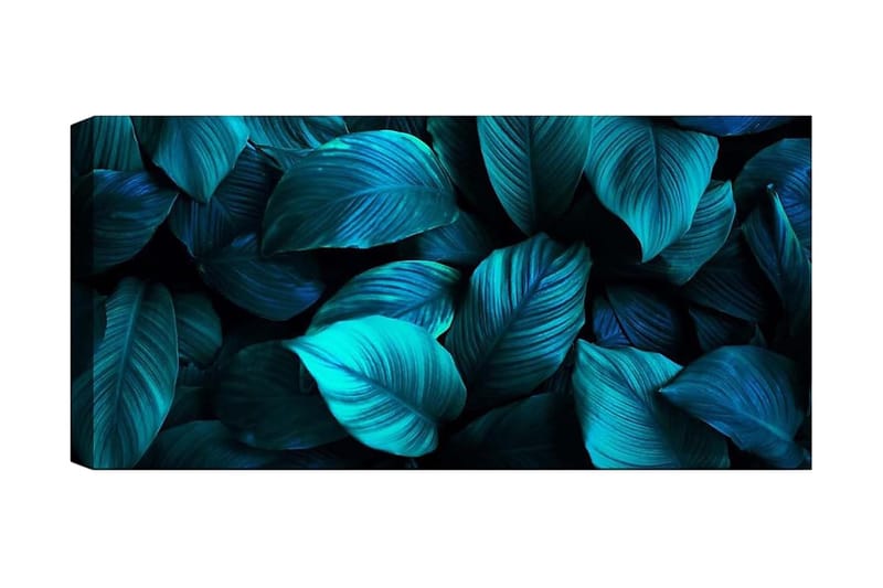 Canvasbilde YTY Floral & Botanical Flerfarget - 120x50 cm - Innredning - Bilder & kunst - Lerretsbilder