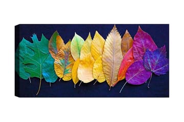Canvasbilde YTY Floral & Botanical Flerfarget - 120x50 cm - Innredning - Bilder & kunst - Lerretsbilder