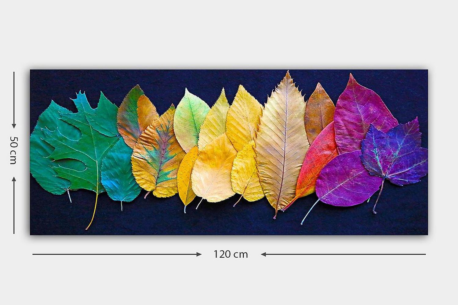 Canvasbilde YTY Floral & Botanical Flerfarget - 120x50 cm - Innredning - Bilder & kunst - Lerretsbilder