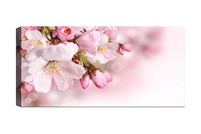 Canvasbilde YTY Floral & Botanical Flerfarget - 120x50 cm - Innredning - Bilder & kunst - Lerretsbilder