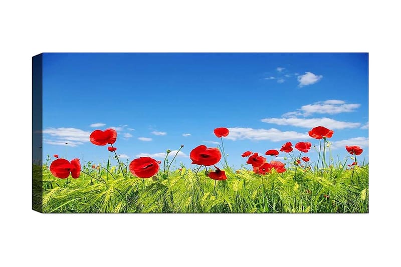 Canvasbilde YTY Floral & Botanical Flerfarget - 120x50 cm - Innredning - Bilder & kunst - Lerretsbilder