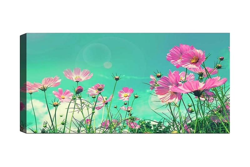 Canvasbilde YTY Floral & Botanical Flerfarget - 120x50 cm - Innredning - Bilder & kunst - Lerretsbilder