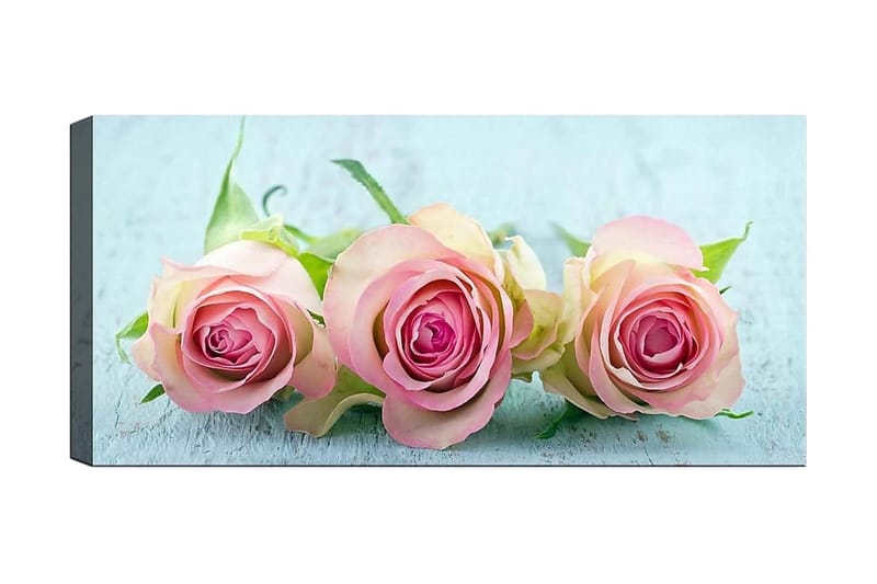 Canvasbilde YTY Floral & Botanical Flerfarget - 120x50 cm - Innredning - Bilder & kunst - Lerretsbilder