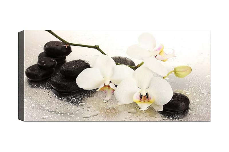 Canvasbilde YTY Floral & Botanical Flerfarget - 120x50 cm - Innredning - Bilder & kunst - Lerretsbilder