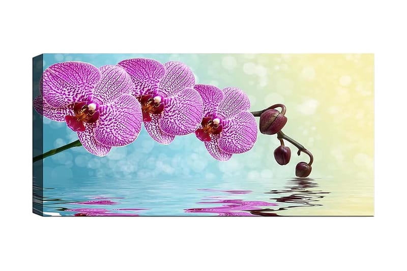 Canvasbilde YTY Floral & Botanical Flerfarget - 120x50 cm - Innredning - Bilder & kunst - Lerretsbilder