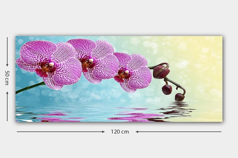 Canvasbilde YTY Floral & Botanical Flerfarget - 120x50 cm - Innredning - Bilder & kunst - Lerretsbilder