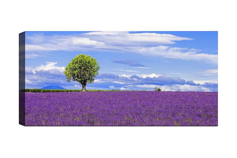 Canvasbilde YTY Floral & Botanical Flerfarget - 120x50 cm - Innredning - Bilder & kunst - Lerretsbilder