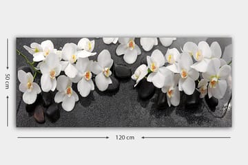 Canvasbilde YTY Floral & Botanical Flerfarget - 120x50 cm - Innredning - Bilder & kunst - Lerretsbilder