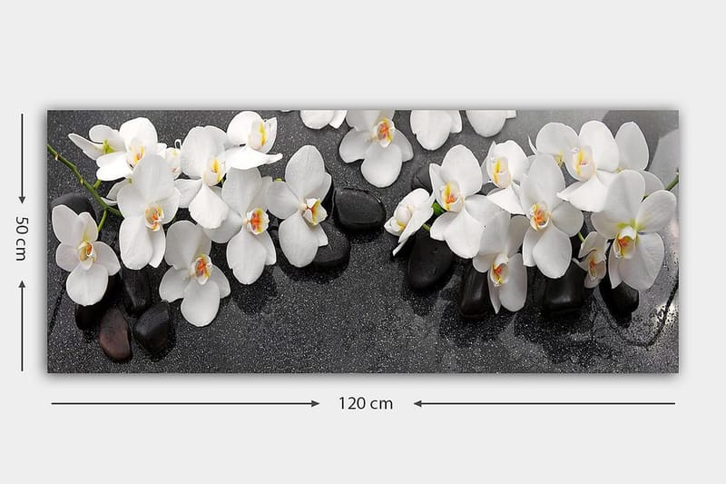 Canvasbilde YTY Floral & Botanical Flerfarget - 120x50 cm - Innredning - Bilder & kunst - Lerretsbilder