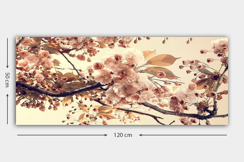 Canvasbilde YTY Floral & Botanical Flerfarget - 120x50 cm - Innredning - Bilder & kunst - Lerretsbilder