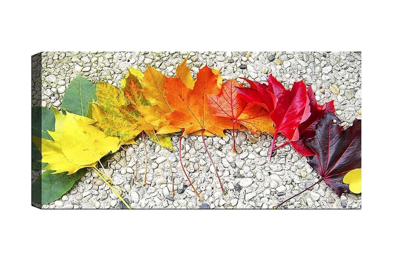 Canvasbilde YTY Floral & Botanical Flerfarget, 120x50 cm