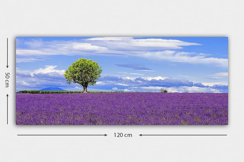 Canvasbilde YTY Floral & Botanical Flerfarget - 120x50 cm - Innredning - Bilder & kunst - Lerretsbilder