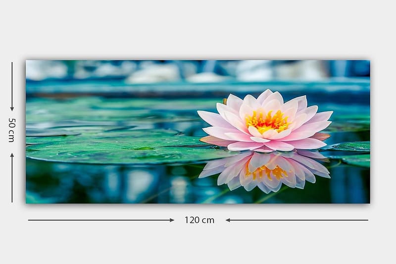 Canvasbilde YTY Floral & Botanical Flerfarget - 120x50 cm - Innredning - Bilder & kunst - Lerretsbilder