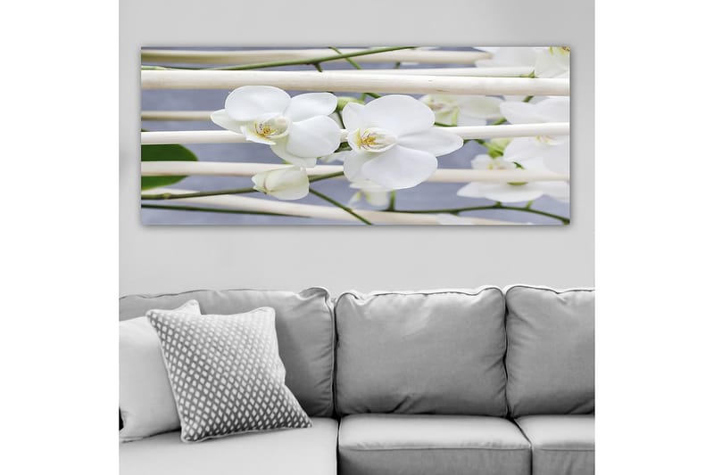 Canvasbilde YTY Floral & Botanical Flerfarget - 120x50 cm - Innredning - Bilder & kunst - Lerretsbilder