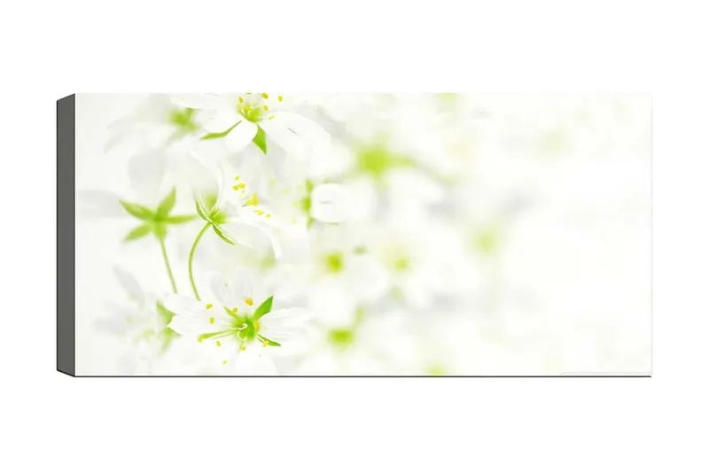 Canvasbilde YTY Floral & Botanical Flerfarget, 120x50 cm