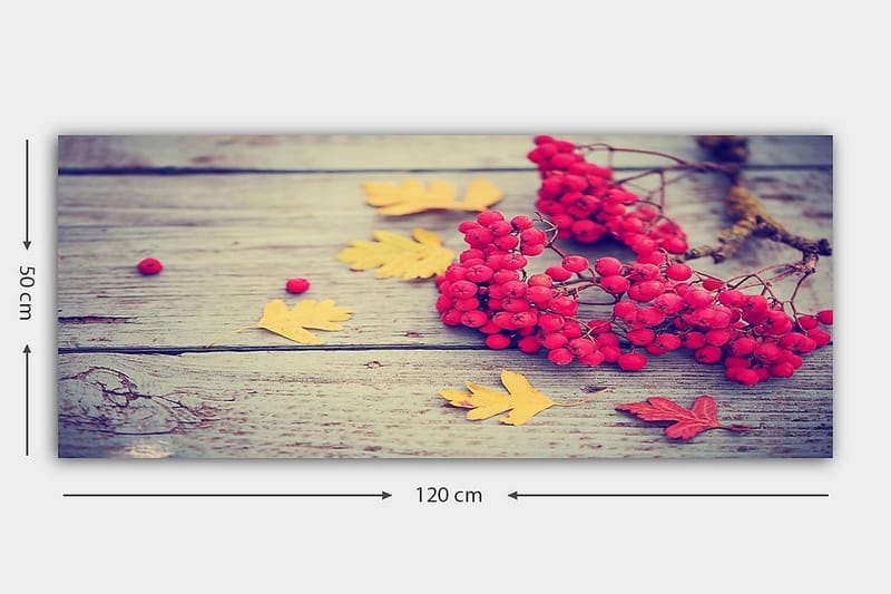 Canvasbilde YTY Floral & Botanical Flerfarget - 120x50 cm - Innredning - Bilder & kunst - Lerretsbilder