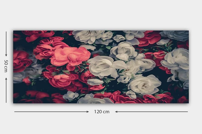 Canvasbilde YTY Floral & Botanical Flerfarget - 120x50 cm - Innredning - Bilder & kunst - Lerretsbilder