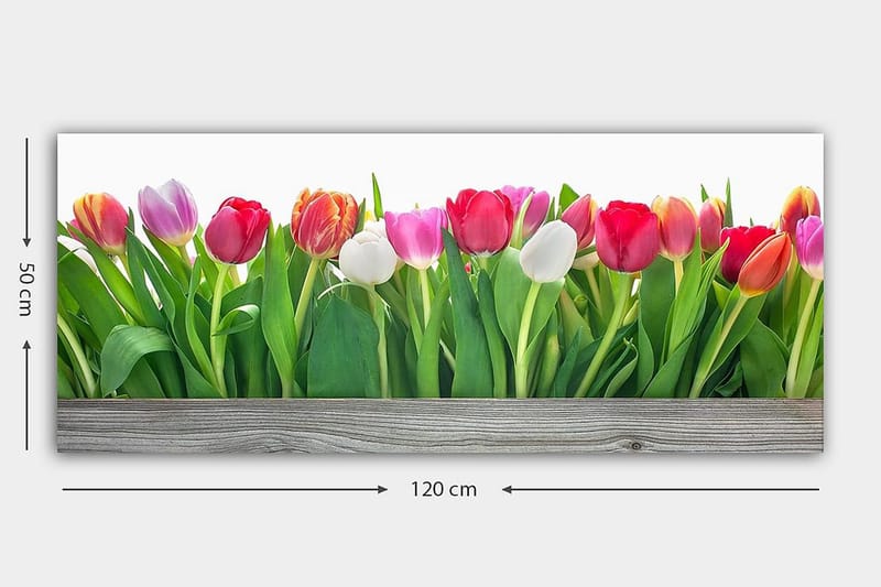 Canvasbilde YTY Floral & Botanical Flerfarget - 120x50 cm - Innredning - Bilder & kunst - Lerretsbilder