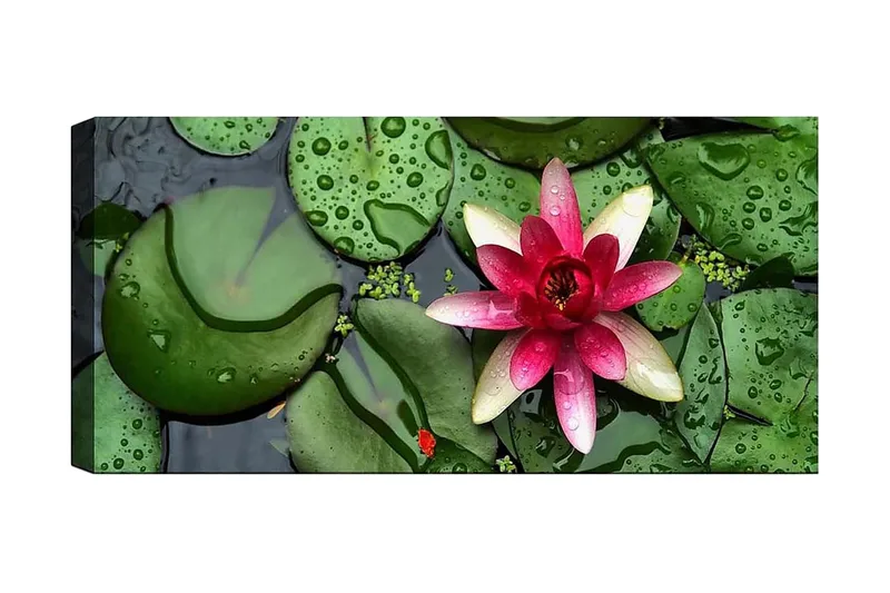 Canvasbilde YTY Floral & Botanical Flerfarget - 120x50 cm - Innredning - Bilder & kunst - Lerretsbilder