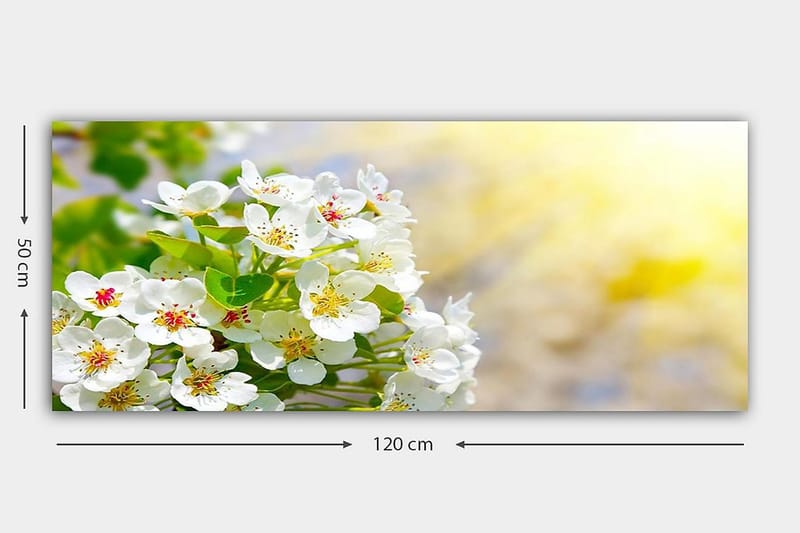 Canvasbilde YTY Floral & Botanical Flerfarget - 120x50 cm - Innredning - Bilder & kunst - Lerretsbilder