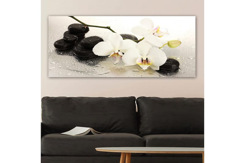 Canvasbilde YTY Floral & Botanical Flerfarget - 120x50 cm - Innredning - Bilder & kunst - Lerretsbilder