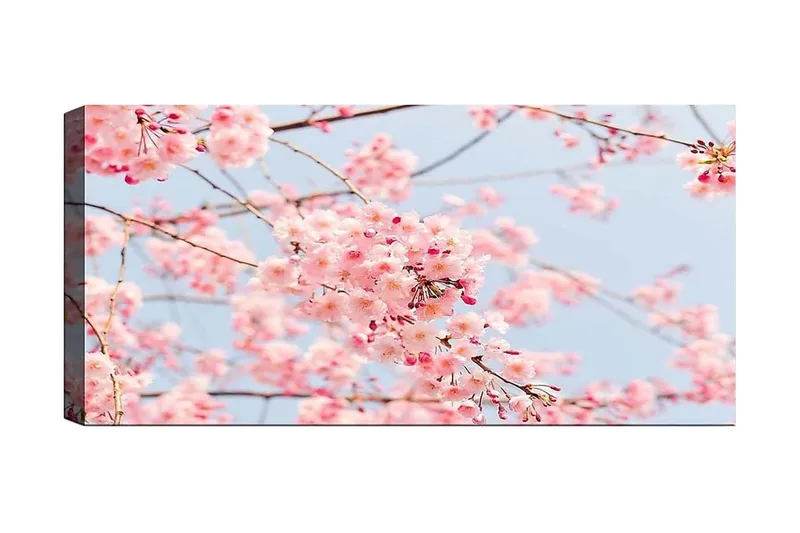 Canvasbilde YTY Floral & Botanical Flerfarget, 120x50 cm