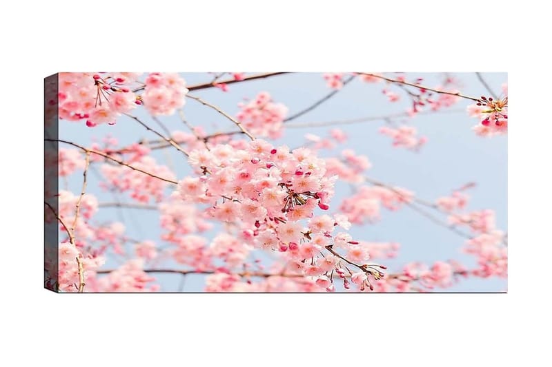 Canvasbilde YTY Floral & Botanical Flerfarget - 120x50 cm - Innredning - Bilder & kunst - Lerretsbilder