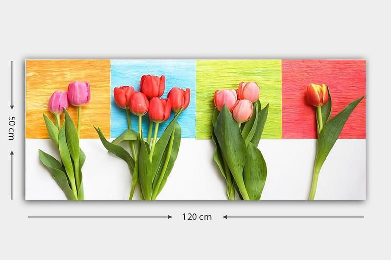 Canvasbilde YTY Floral & Botanical Flerfarget - 120x50 cm - Innredning - Bilder & kunst - Lerretsbilder