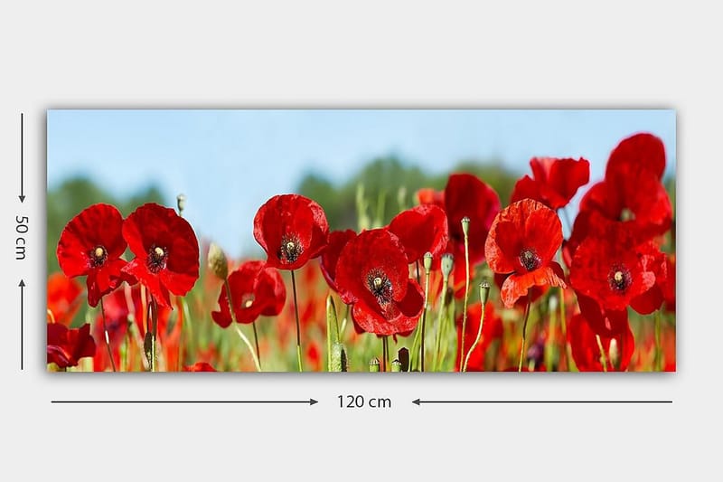 Canvasbilde YTY Floral & Botanical Flerfarget - 120x50 cm - Innredning - Bilder & kunst - Lerretsbilder