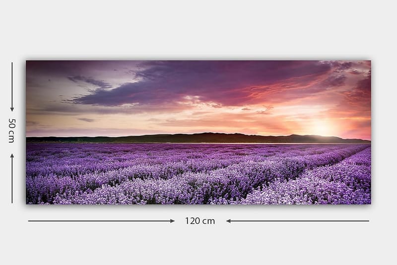 Canvasbilde YTY Floral & Botanical Flerfarget - 120x50 cm - Innredning - Bilder & kunst - Lerretsbilder