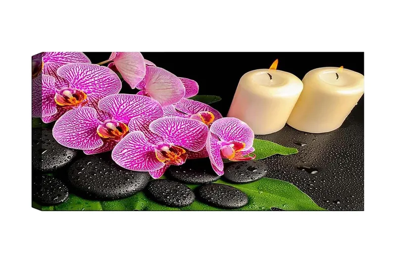 Canvasbilde YTY Floral & Botanical Flerfarget, 120x50 cm