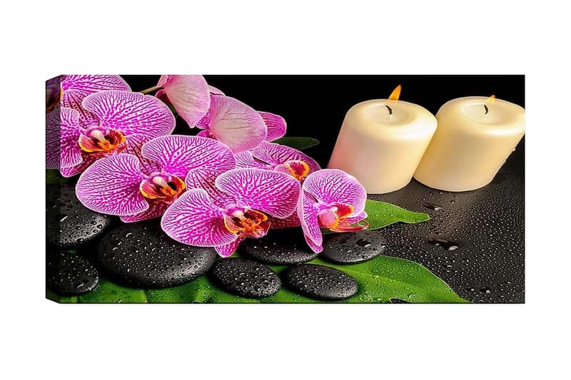 Canvasbilde YTY Floral & Botanical Flerfarget, 120x50 cm