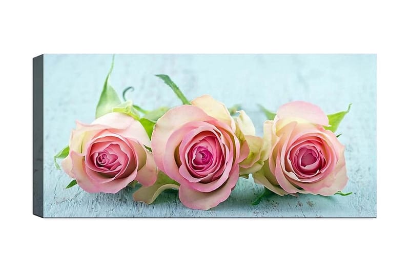 Canvasbilde YTY Floral & Botanical Flerfarget, 120x50 cm