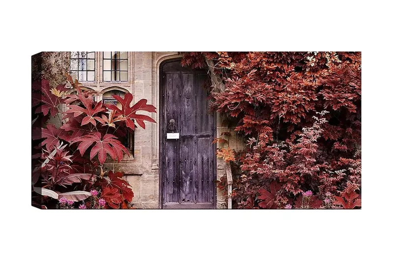 Canvasbilde YTY Floral & Botanical Flerfarget, 120x50 cm