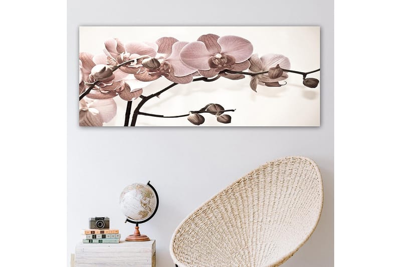 Canvasbilde YTY Floral & Botanical Flerfarget - 120x50 cm - Innredning - Bilder & kunst - Lerretsbilder
