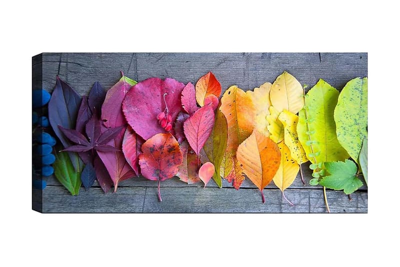 Canvasbilde YTY Floral & Botanical Flerfarget, 120x50 cm