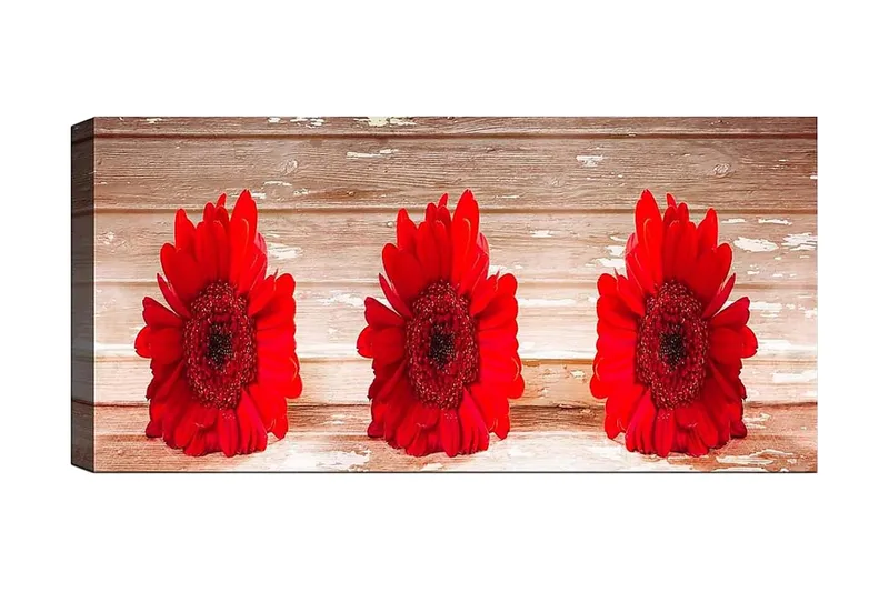 Canvasbilde YTY Floral & Botanical Flerfarget, 120x50 cm