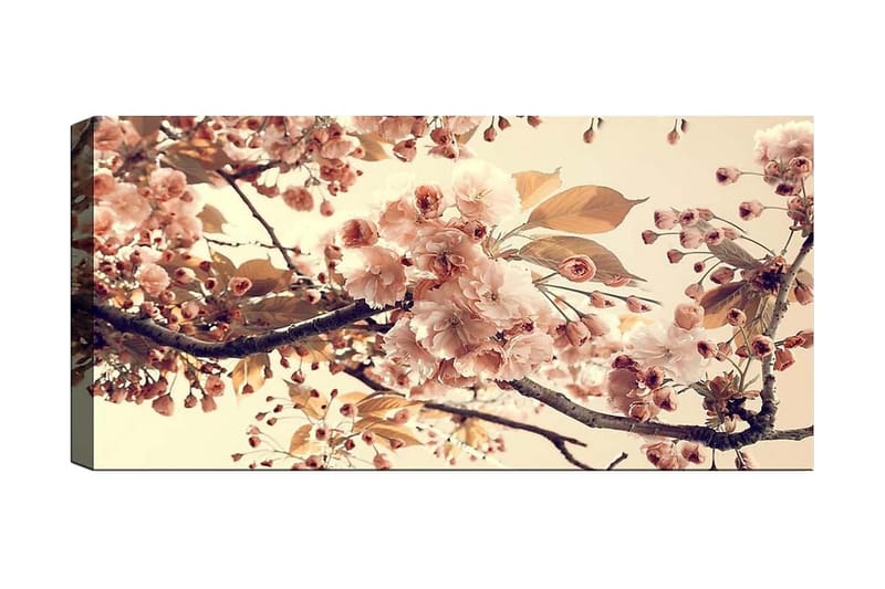 Canvasbilde YTY Floral & Botanical Flerfarget - 120x50 cm - Innredning - Bilder & kunst - Lerretsbilder