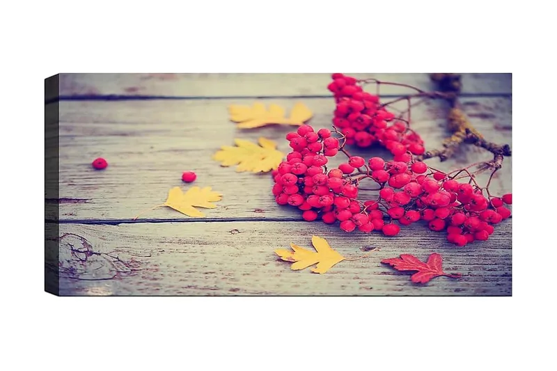 Canvasbilde YTY Floral & Botanical Flerfarget, 120x50 cm