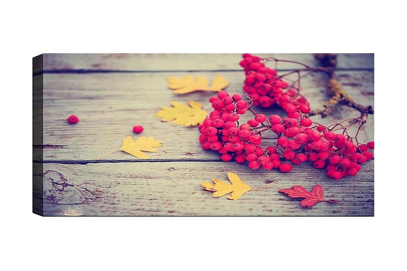 Canvasbilde YTY Floral & Botanical Flerfarget, 120x50 cm