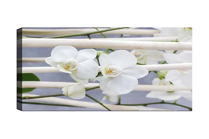 Canvasbilde YTY Floral & Botanical Flerfarget - 120x50 cm - Innredning - Bilder & kunst - Lerretsbilder