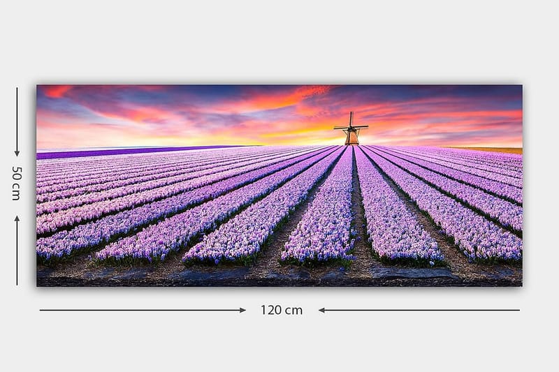 Canvasbilde YTY Floral & Botanical Flerfarget - 120x50 cm - Innredning - Bilder & kunst - Lerretsbilder