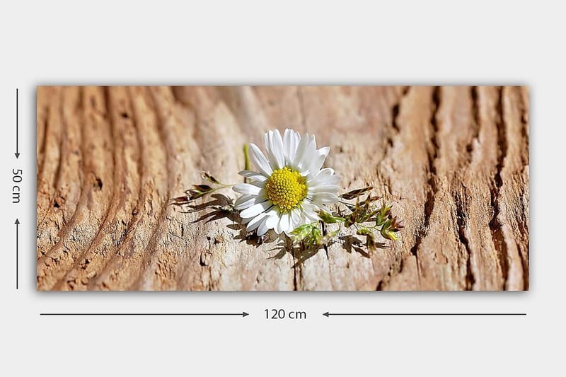 Canvasbilde YTY Floral & Botanical Flerfarget - 120x50 cm - Innredning - Bilder & kunst - Lerretsbilder