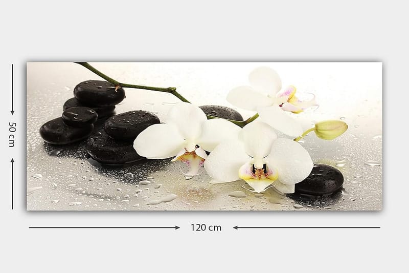 Canvasbilde YTY Floral & Botanical Flerfarget - 120x50 cm - Innredning - Bilder & kunst - Lerretsbilder