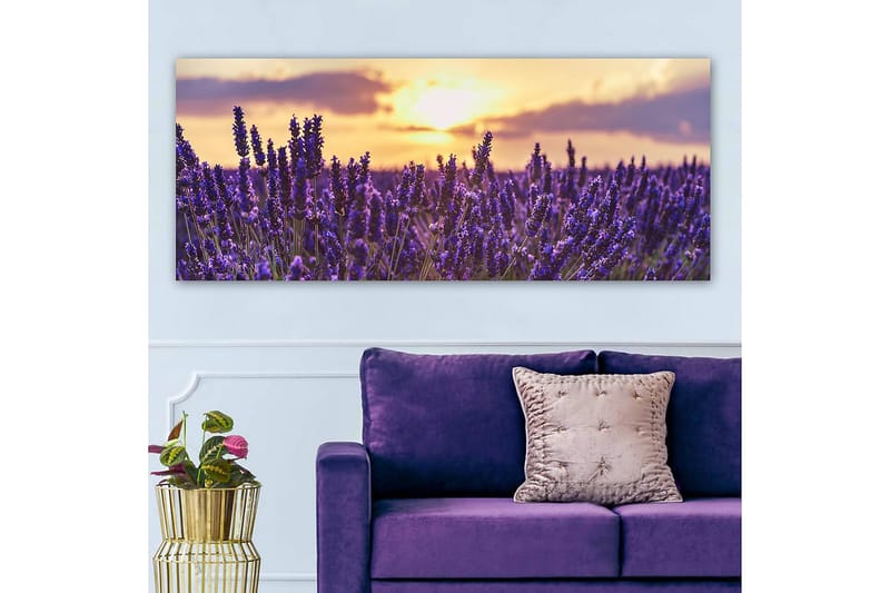Canvasbilde YTY Floral & Botanical Flerfarget - 120x50 cm - Innredning - Bilder & kunst - Lerretsbilder